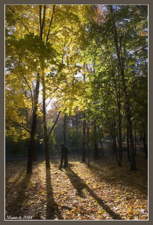Московская ОСЕНЬ......