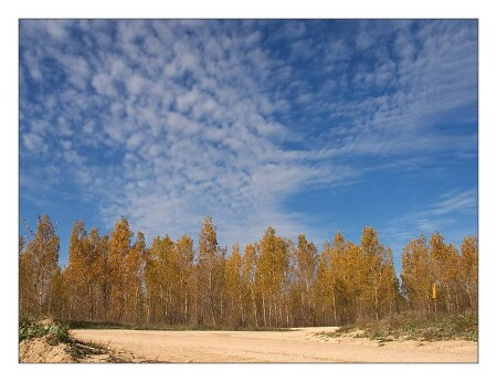 Осенние контрасты