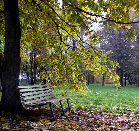 В парке