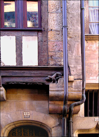 №19