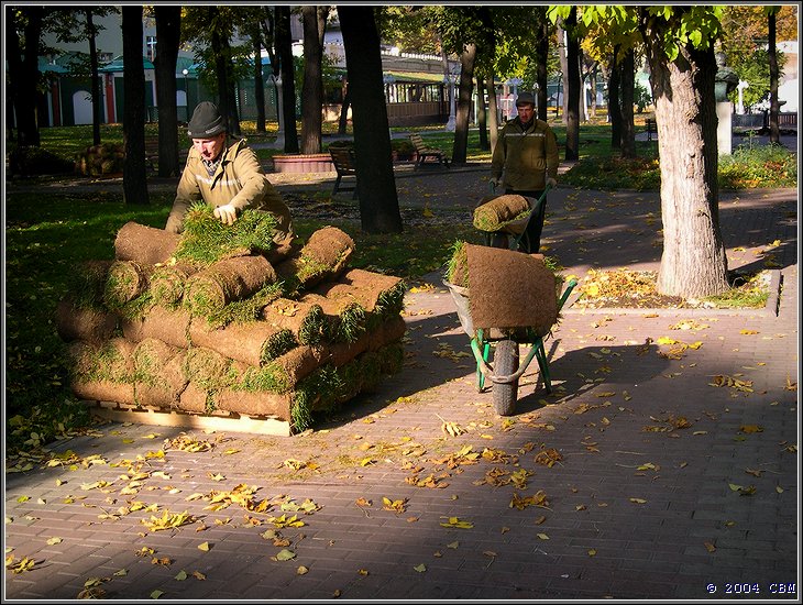 Осенью траву снимали