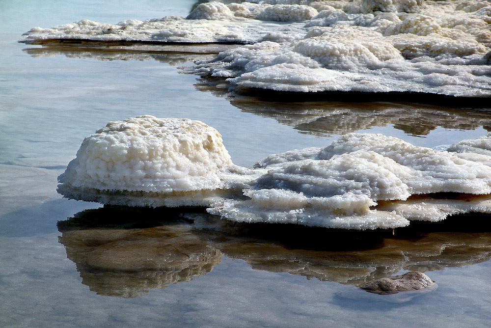 Кораллы Мёртвого Моря