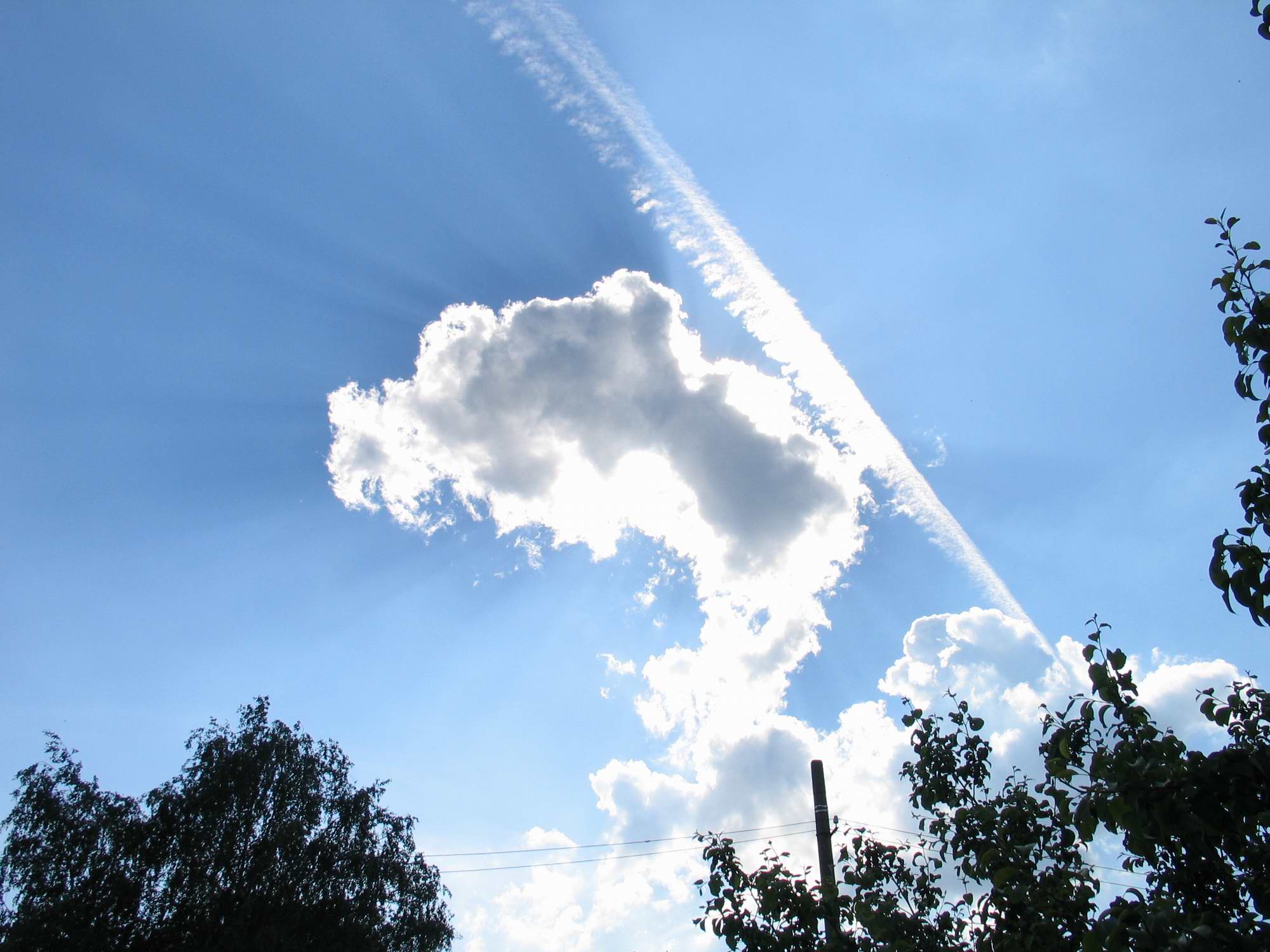Cloud9
