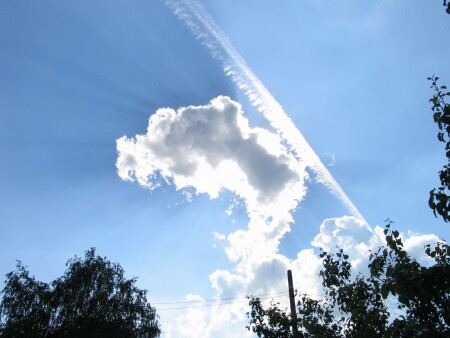 Cloud9