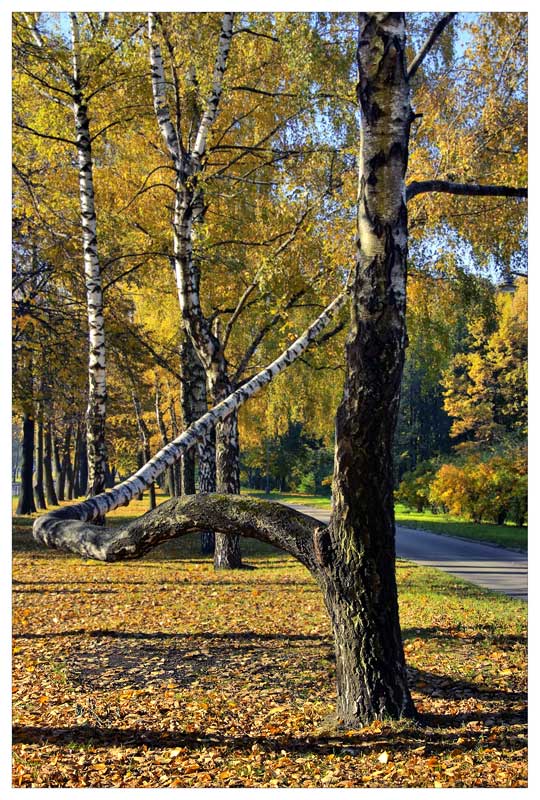 Осенний этюд