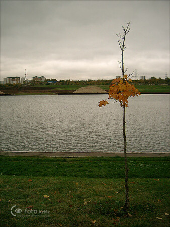 Страх одиночества