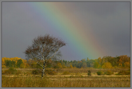 Somewhere over the rainbow