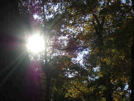 Осенние лучи