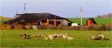 Почти швейцарская идиллия