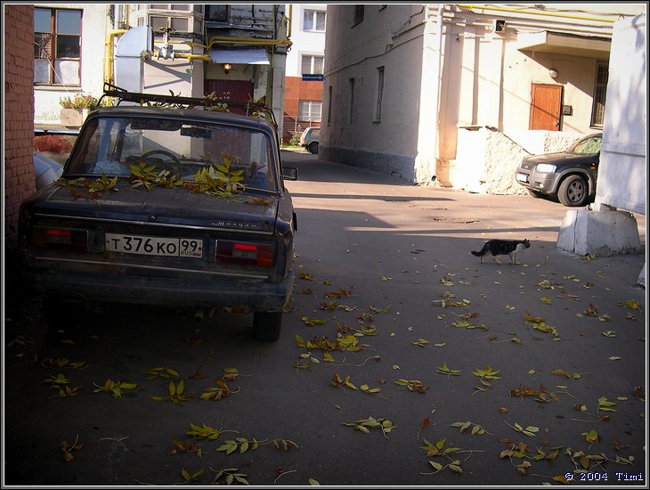 Дворик
