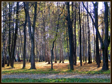 И больше ничего...