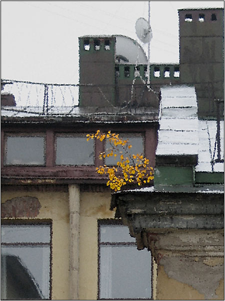 За окном березка стояла...