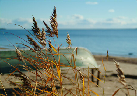Балтийский берег