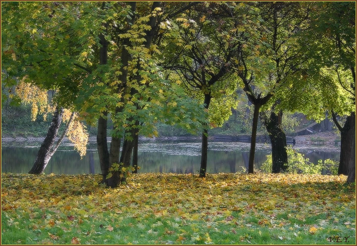 Прозрачная осень