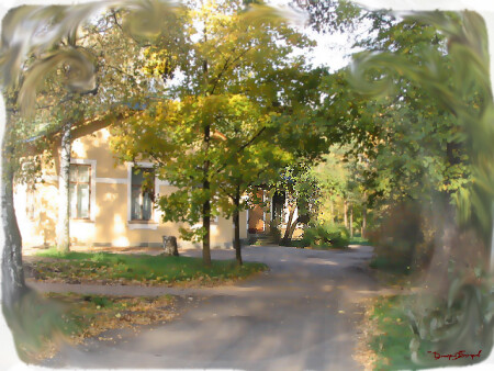 Сон Полярника