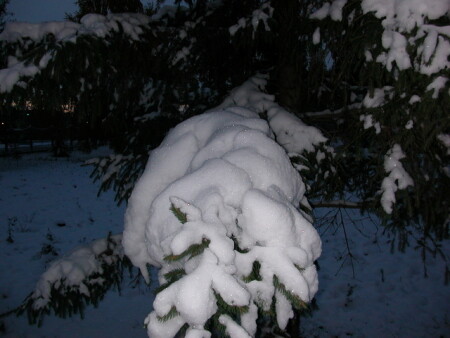 первый снег