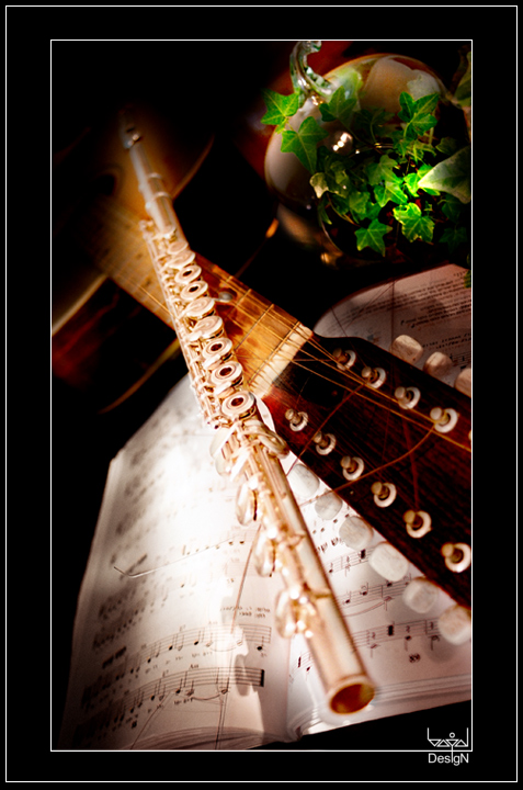 Guitar and Flute