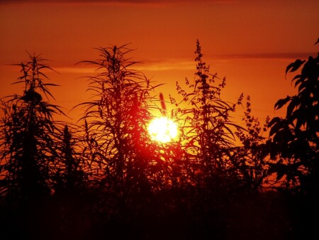 Плановый восход...