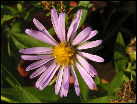 Лето обязательно вернётся 