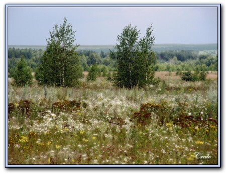 Земля