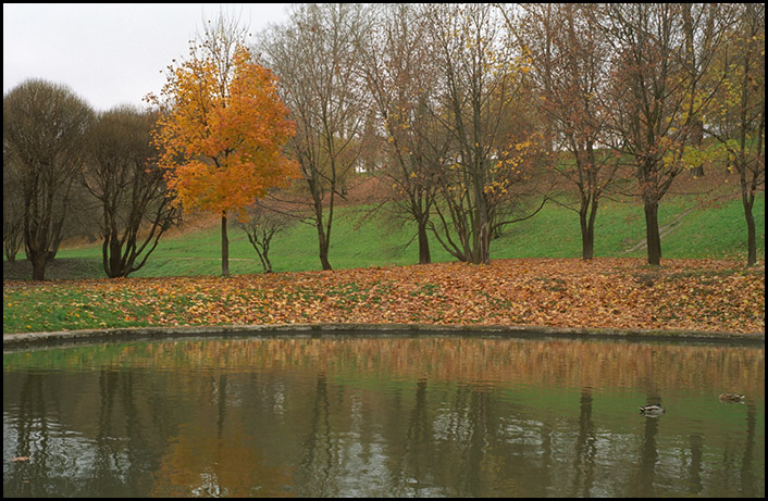 'Tis Autumn