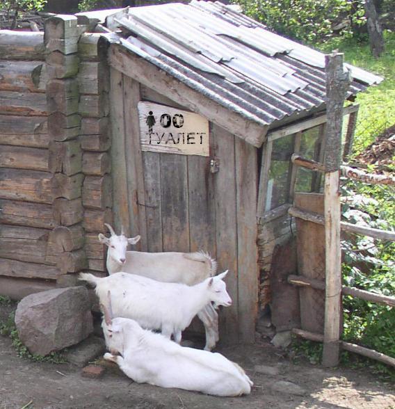 Культурная революция.