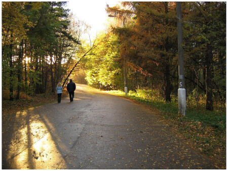 Последний вечер золотой осени. А завтра будут дожди и холода...