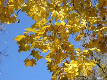 все про осень