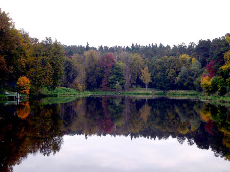 БАГРЯН И ЗОЛОТО