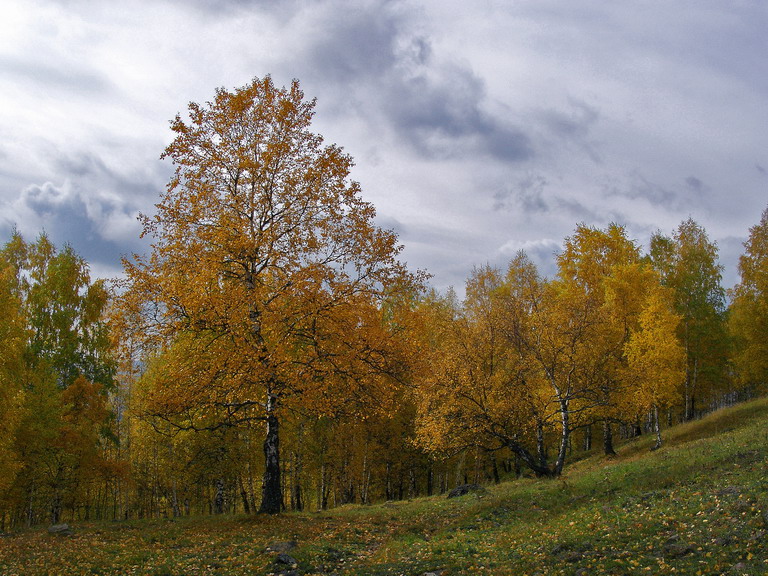 Осень