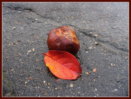 Дождливое одиночество