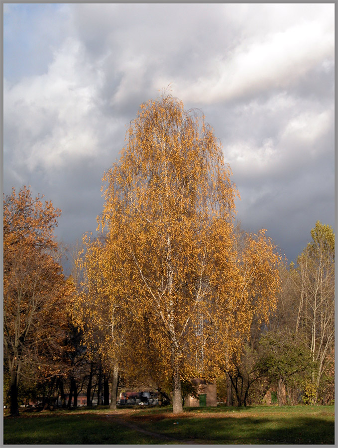 осень...