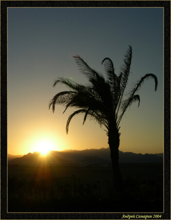 Египетские ночи..