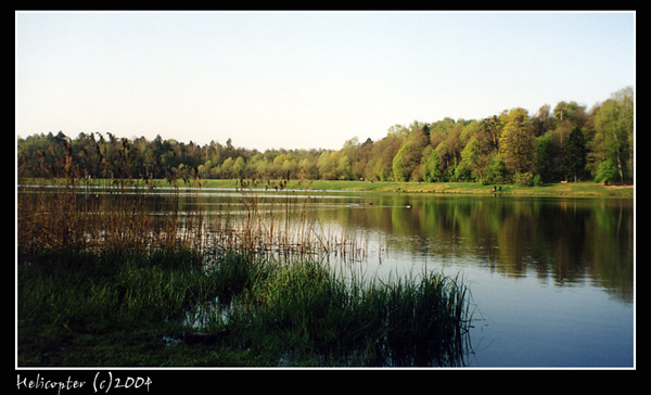 Лебедянское lake