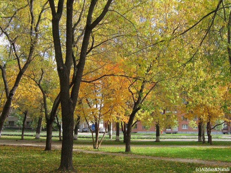 Осень в Екатеринбурге