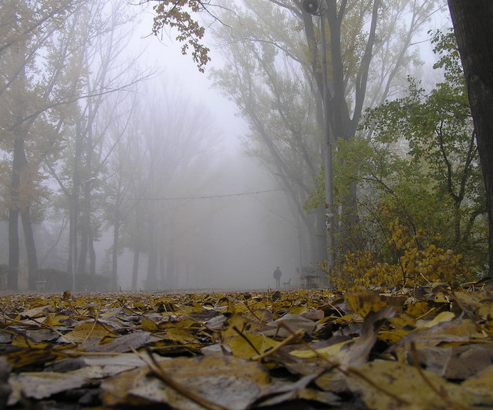 Осенний парк.