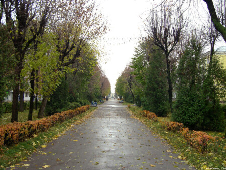 Прогуляемся?
