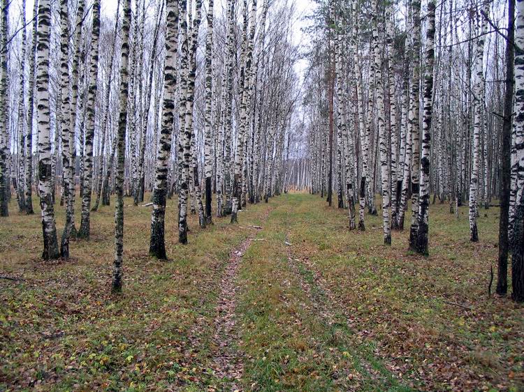 Легенды Осени