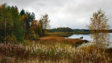 Уголок озера Хвощно в Любытинском р-не.
