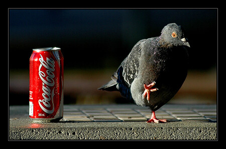 VIVAT COCA-COLA