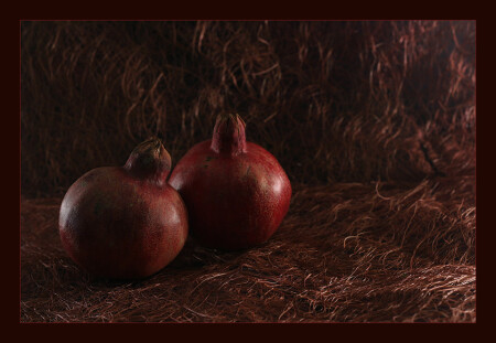 Этюд с гранатами