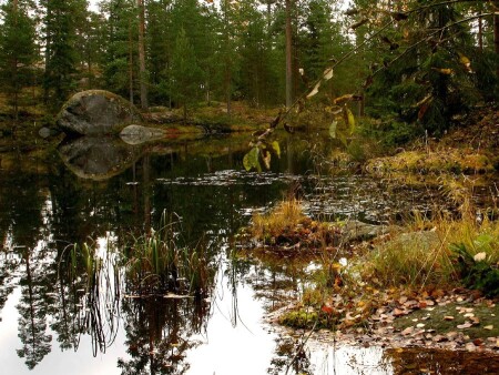 Каменная &amp;quot;пасть&amp;quot;