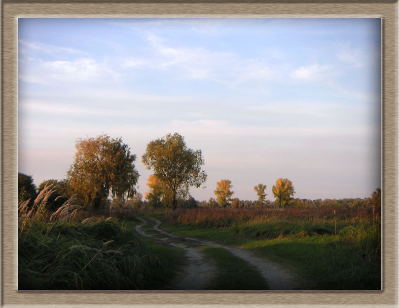 Дорога в лугах