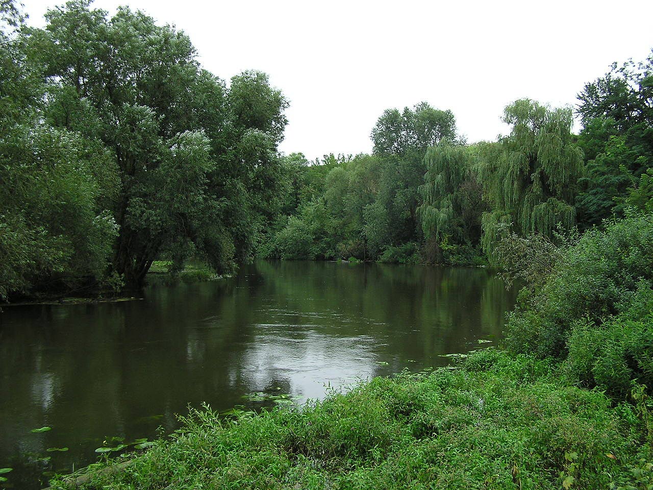 Река Рось