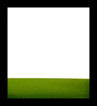 3 color