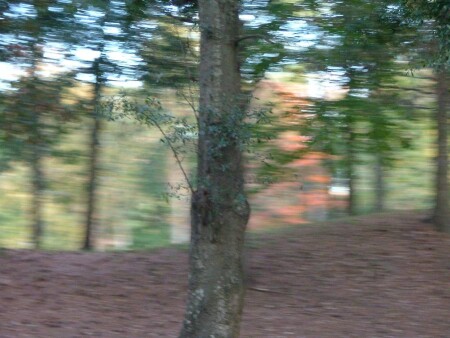 Сила движения