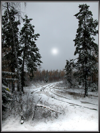 Первый снег