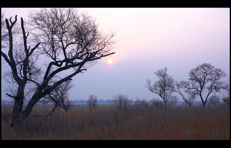 Поздняя осень, утро...