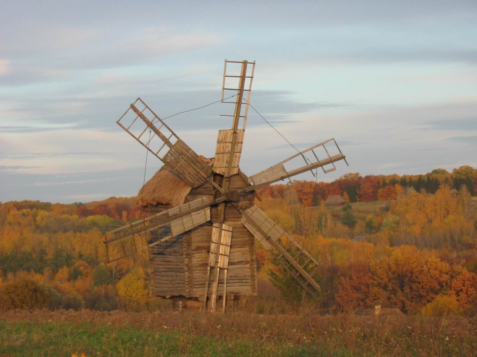 Осень в Пирогово