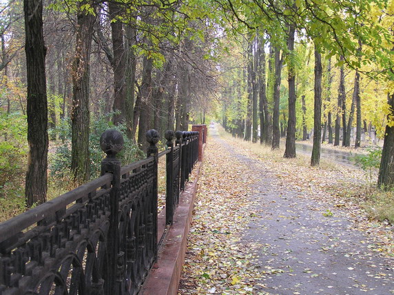 Одинокая аллея.